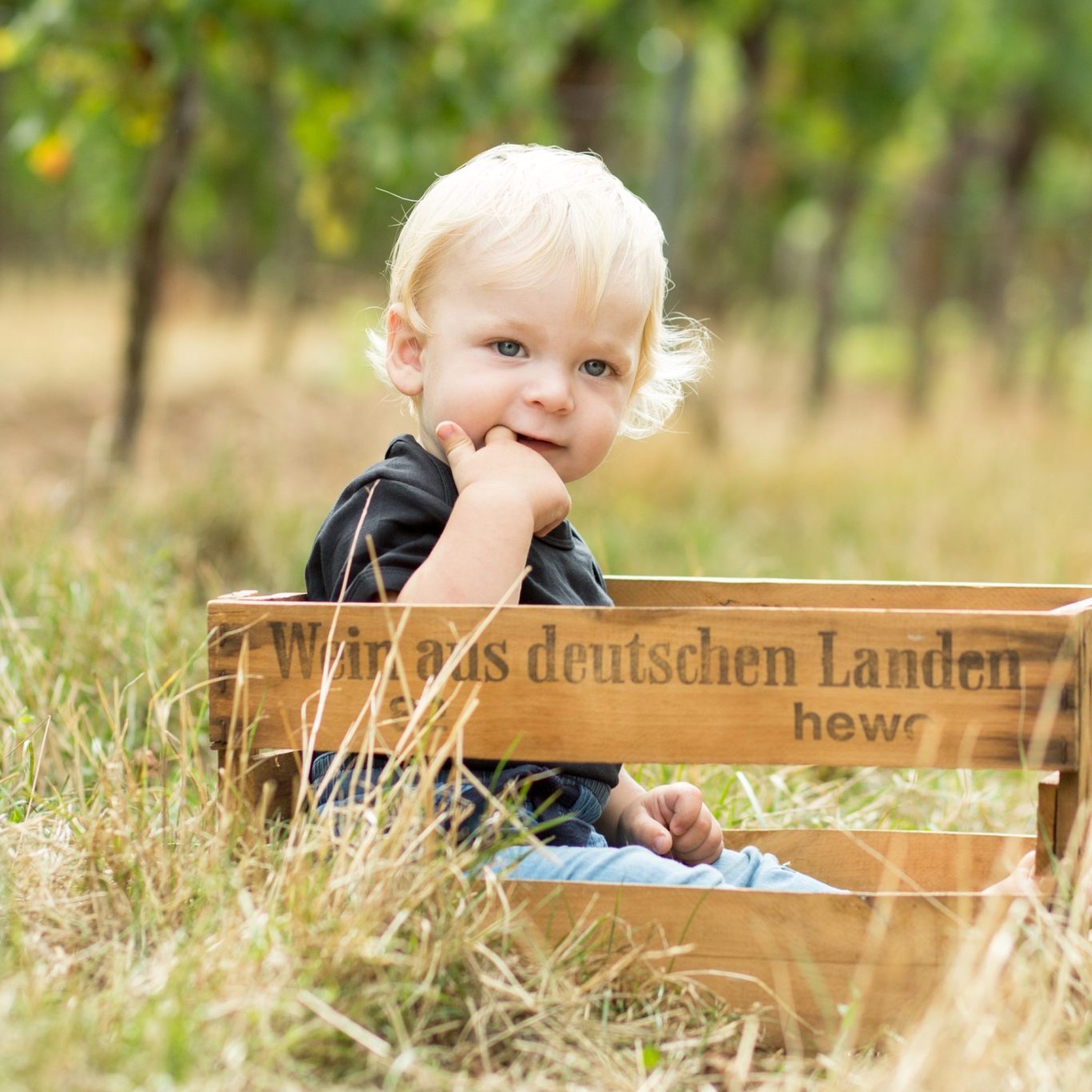 Baby Portrait im Freien in Holzkiste Kleines Kind sitzt in einer Holzkiste auf einer Wiese im Wingert und blickt in die Kamera bei natürlichem Licht.